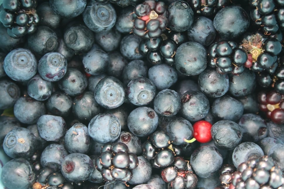 blueberries preview