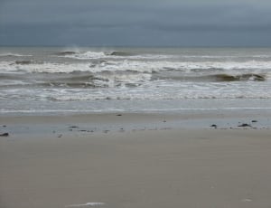 gray seashore thumbnail