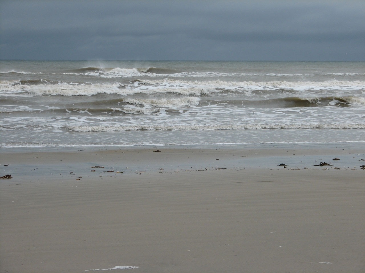 gray seashore
