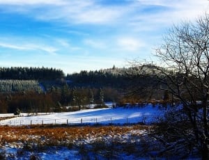 photography of horizon with snow thumbnail