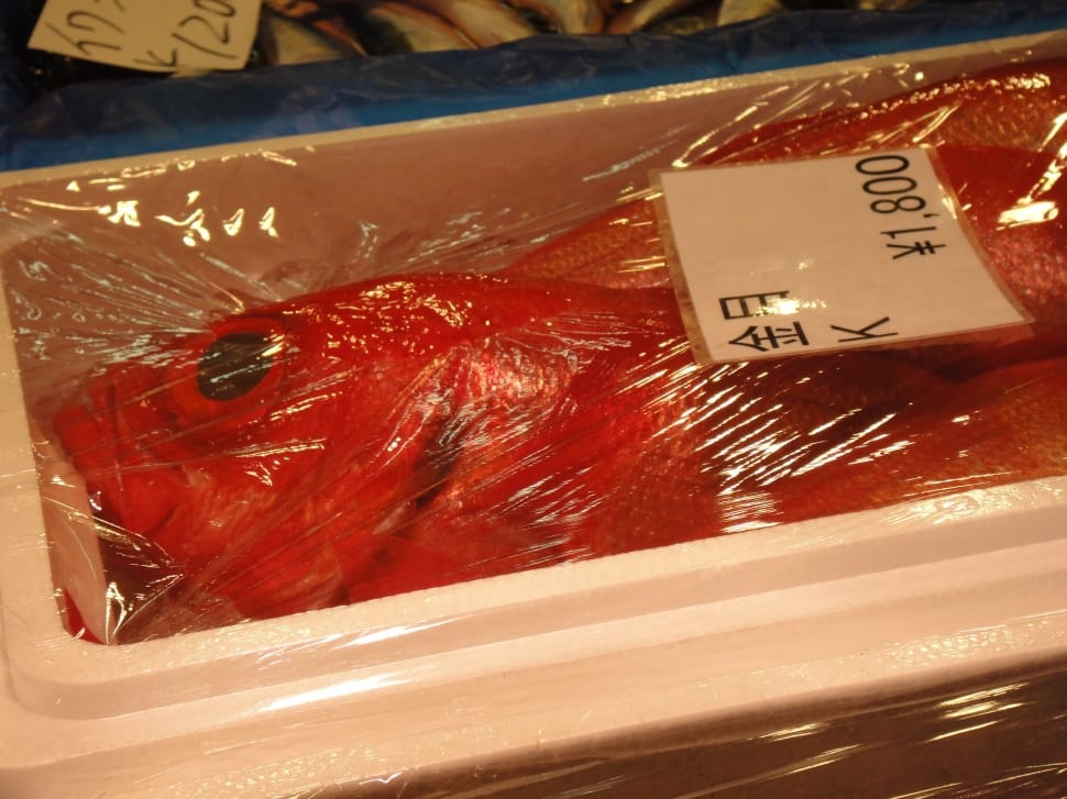 three red fishes in box indoors preview