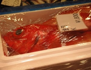 three red fishes in box indoors thumbnail