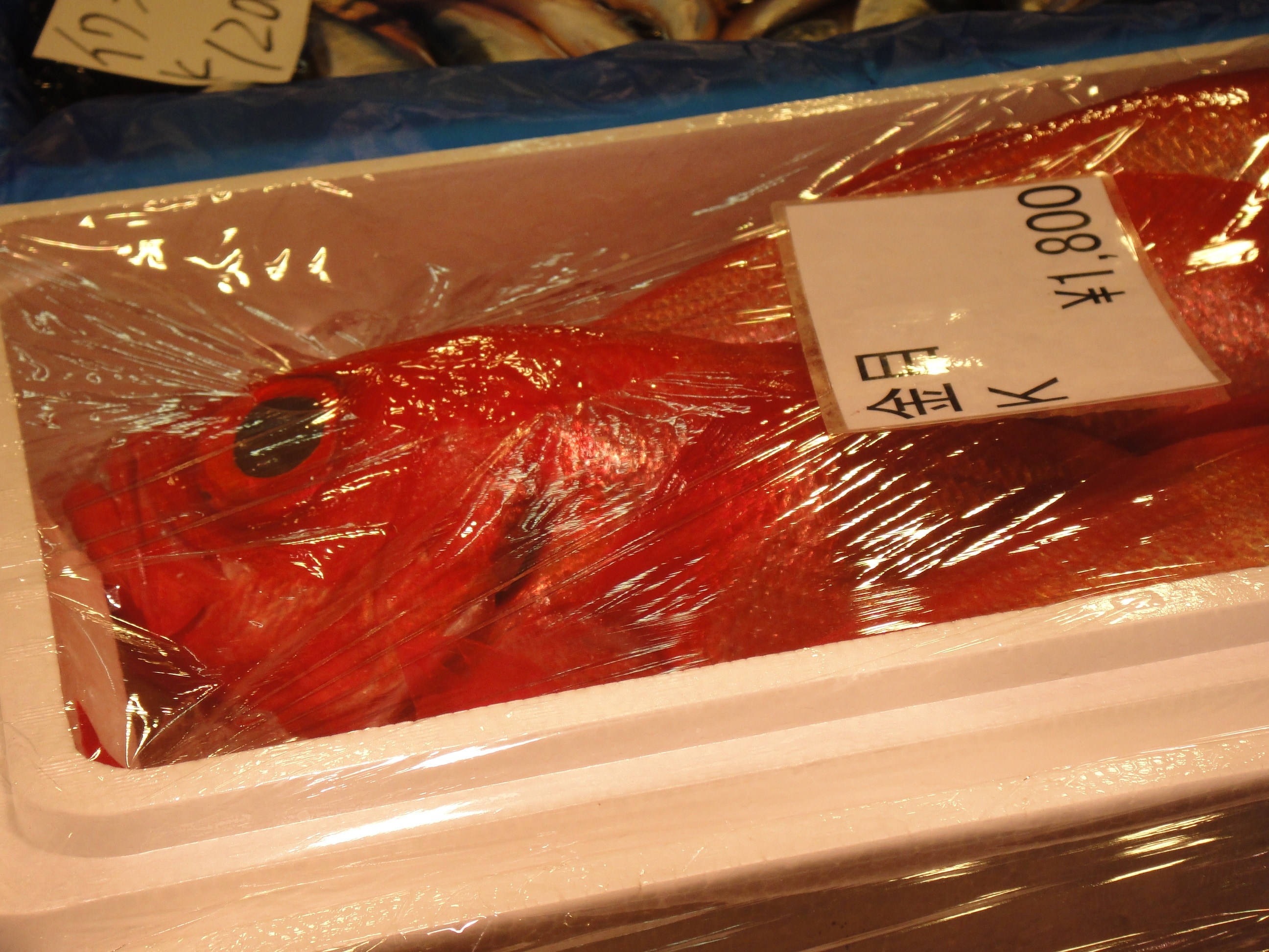 three red fishes in box indoors