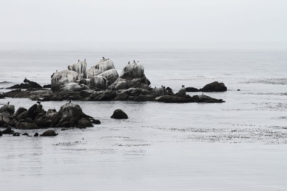 greyscale photography of rock on seashore preview