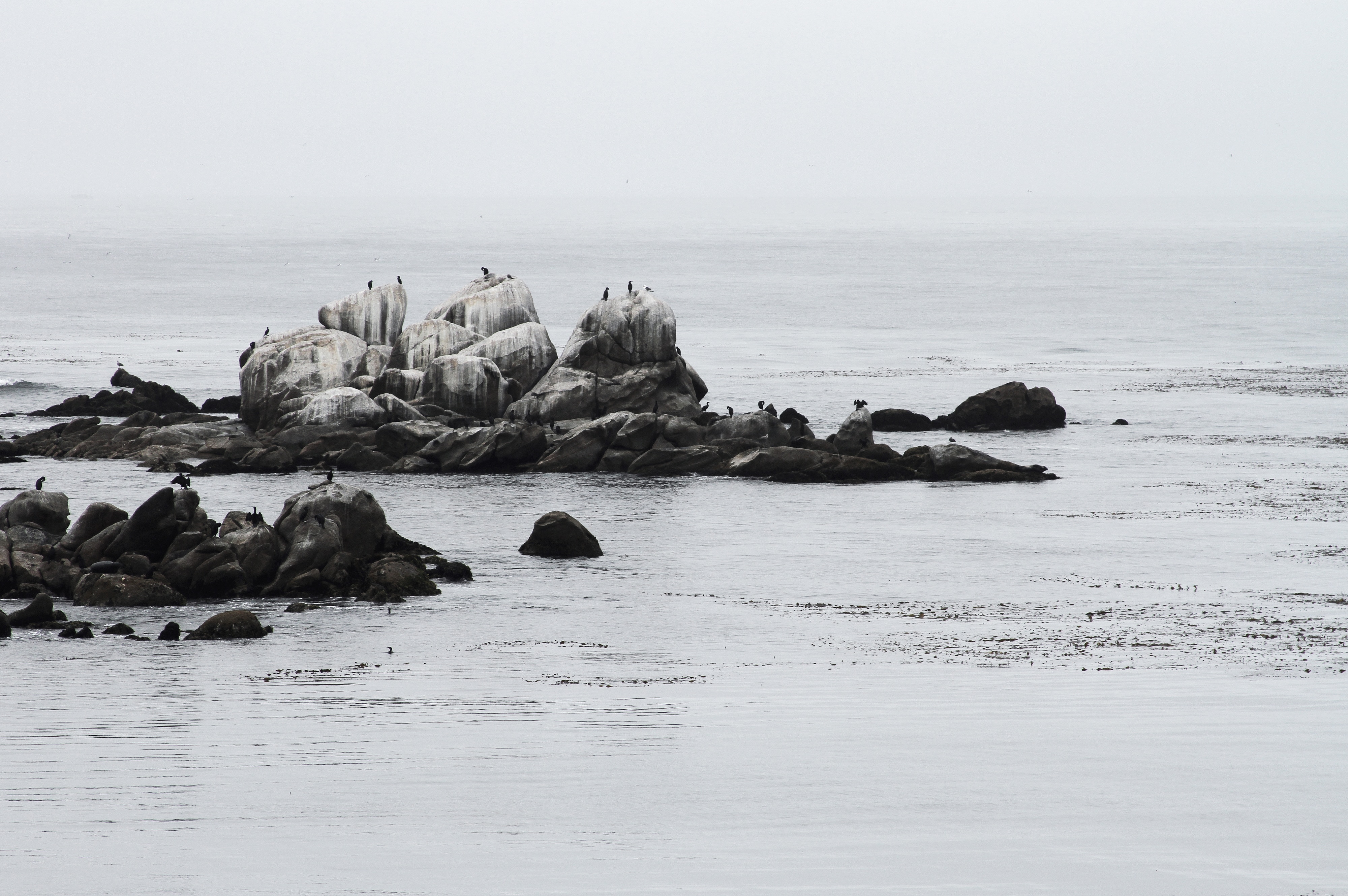 greyscale photography of rock on seashore