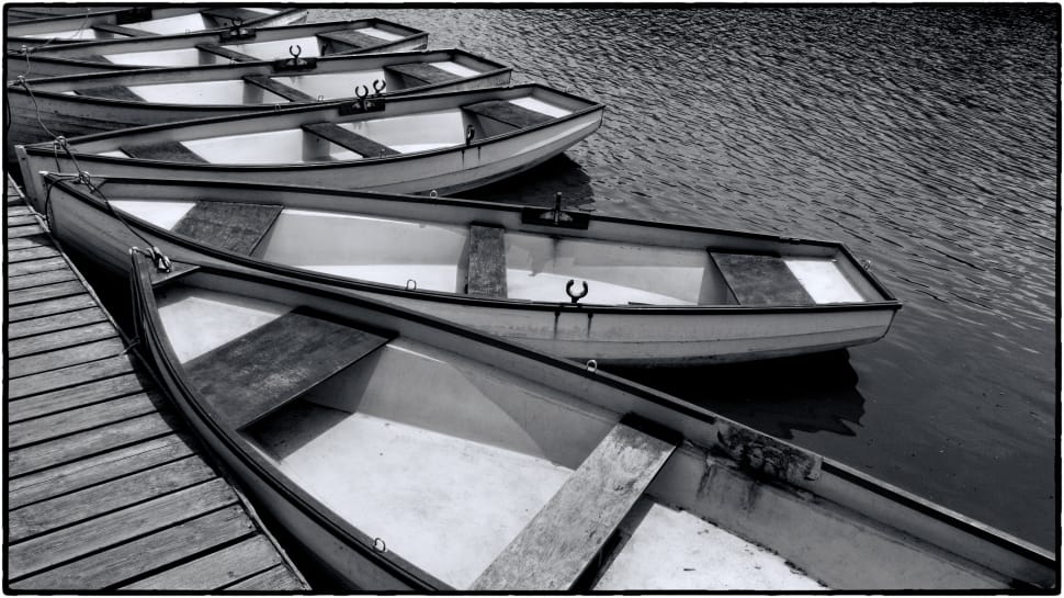 gray scale photo of rowboats preview