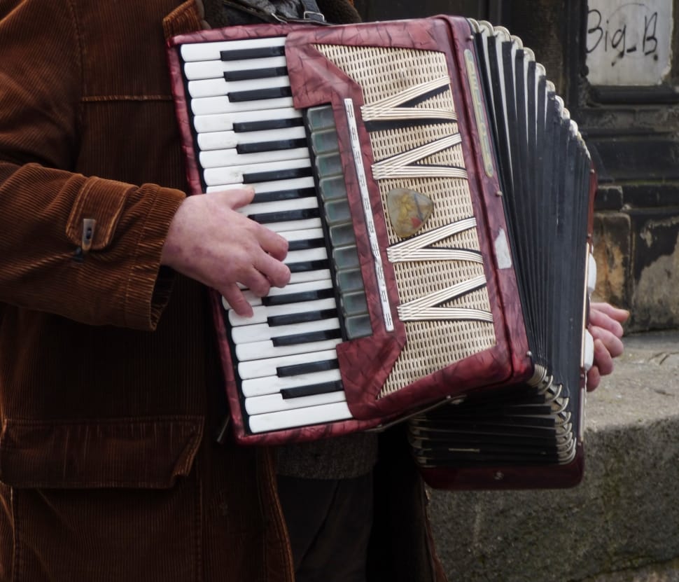 maroon and black accordion preview