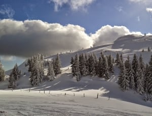 mountain and trees covered with snow during daytime thumbnail