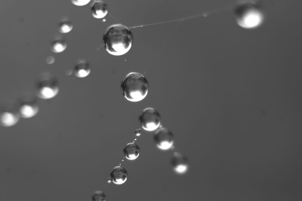 selective photography of water droplets preview