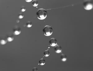 selective photography of water droplets thumbnail
