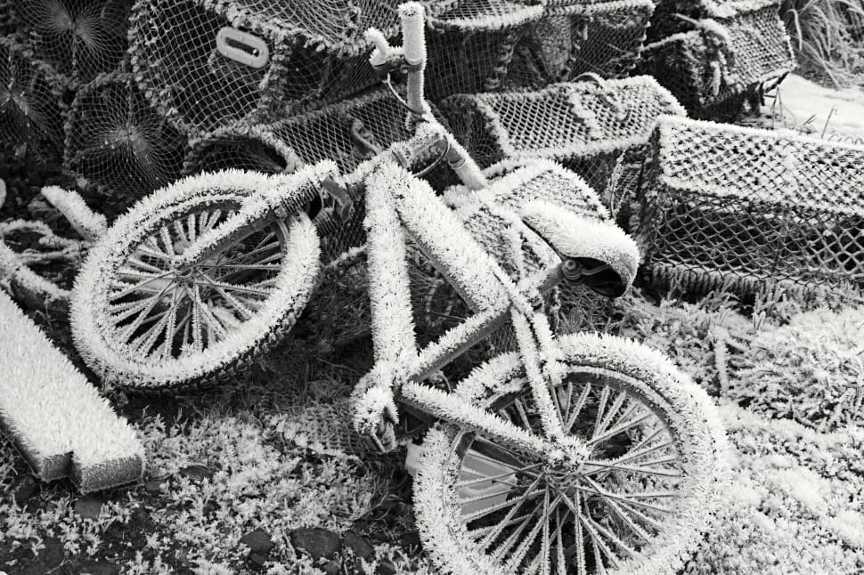 grayscale photo of bicycle preview