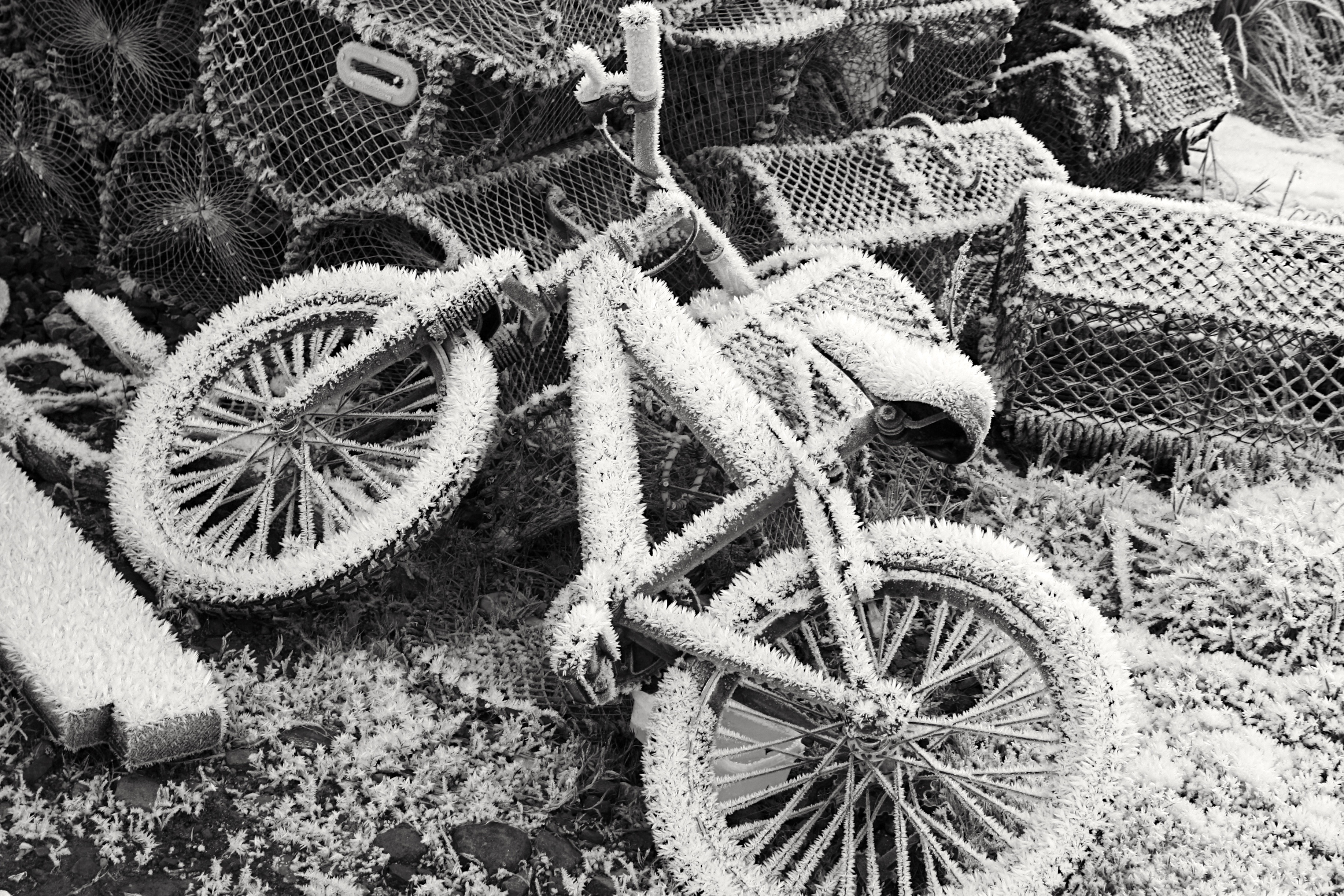 grayscale photo of bicycle