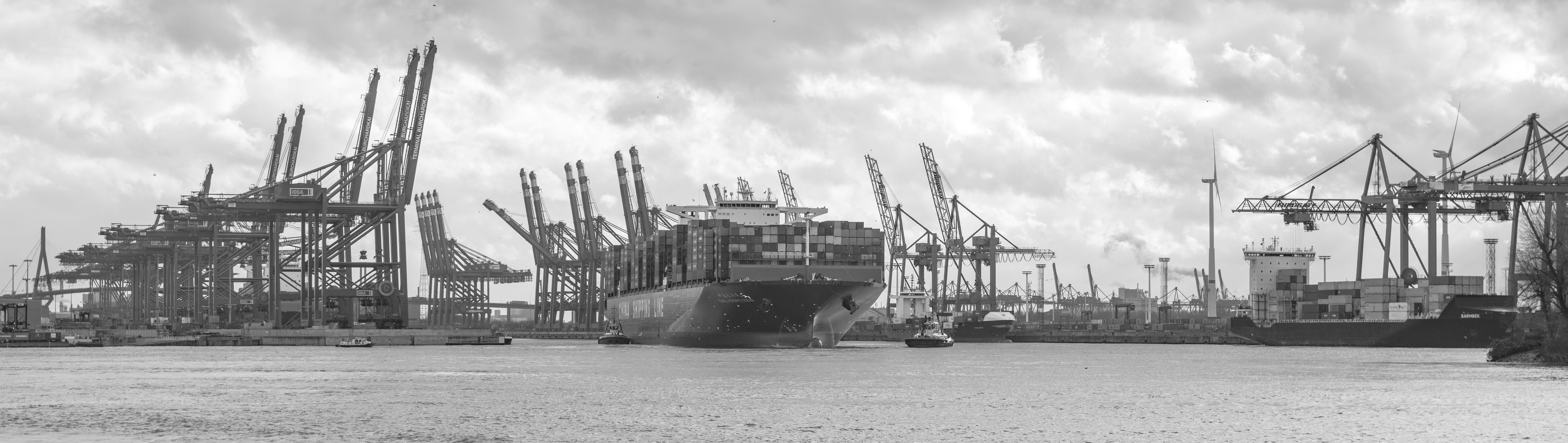 grayscale photo of docks
