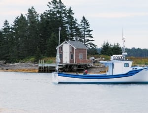 white and blue cabin boat thumbnail