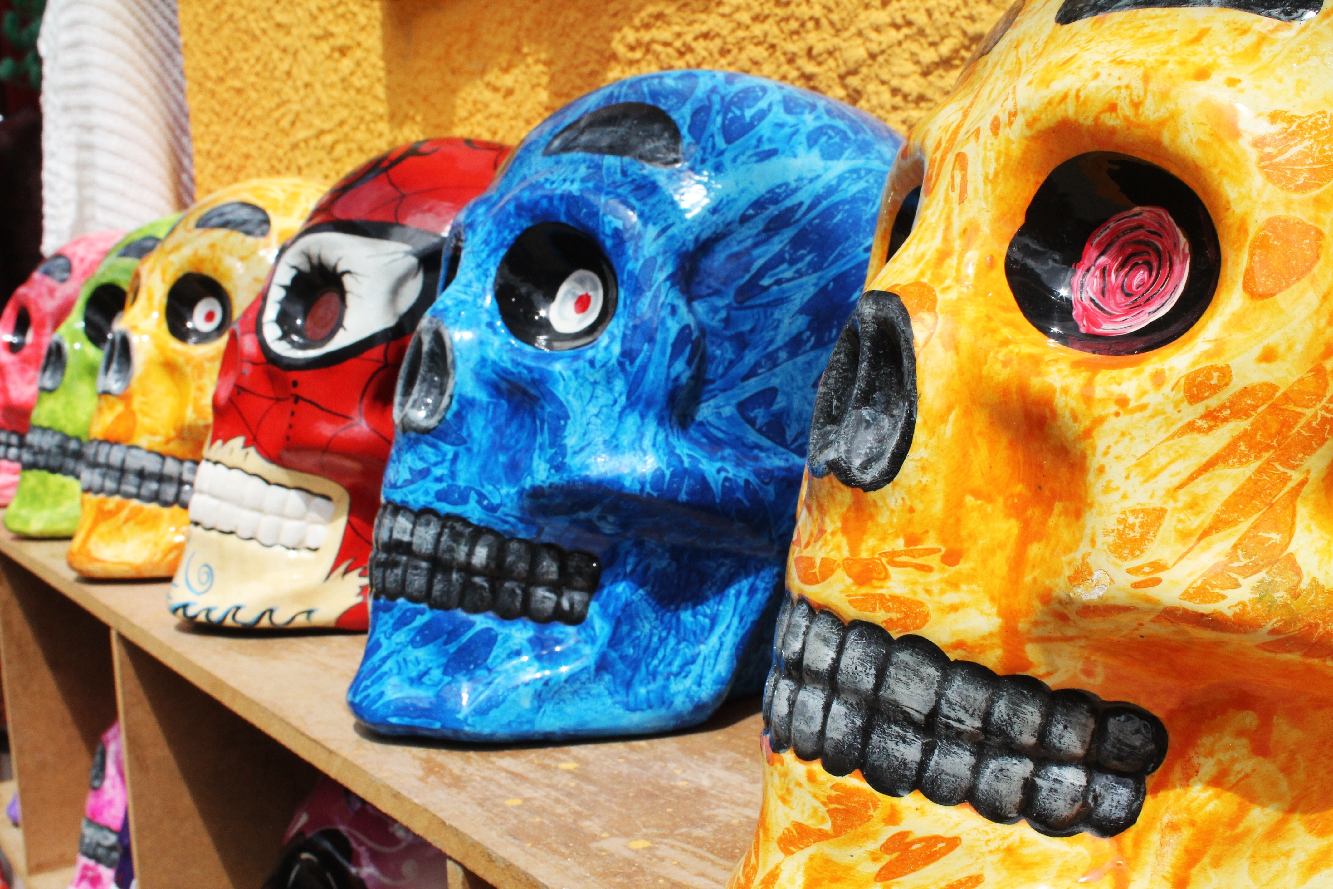 decorative skulls