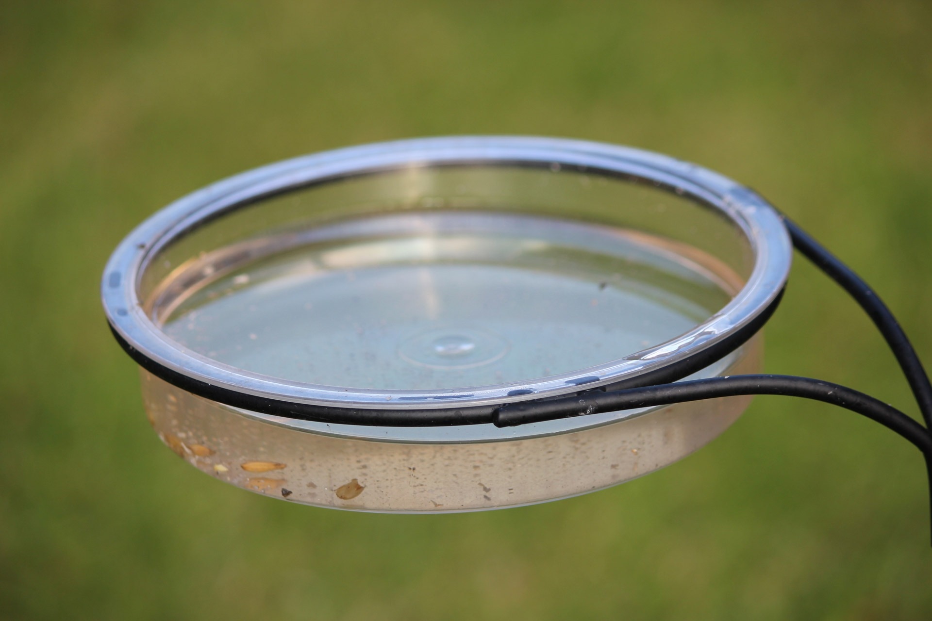 clear glass round container