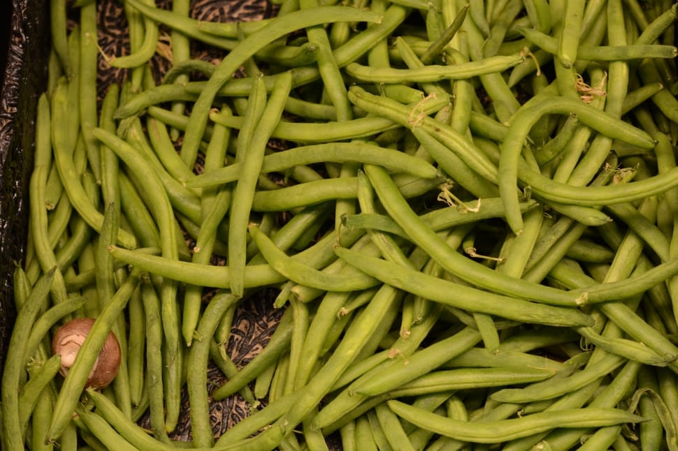 green string beans lot preview