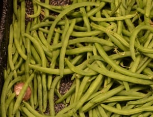 green string beans lot thumbnail