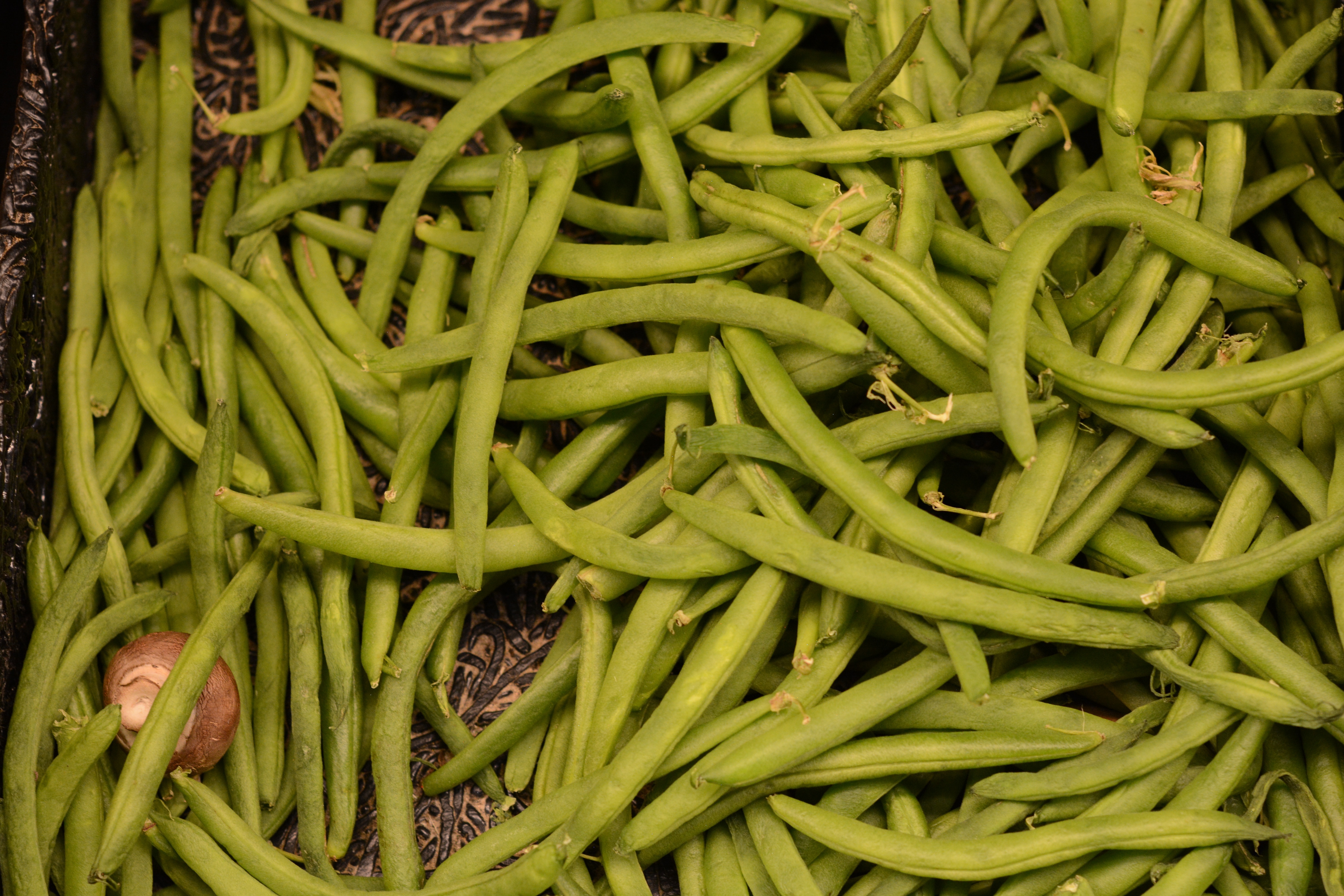 green string beans lot