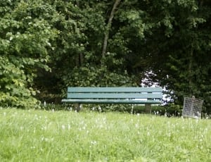 empty wooden bench beside gray mesh transh bin thumbnail