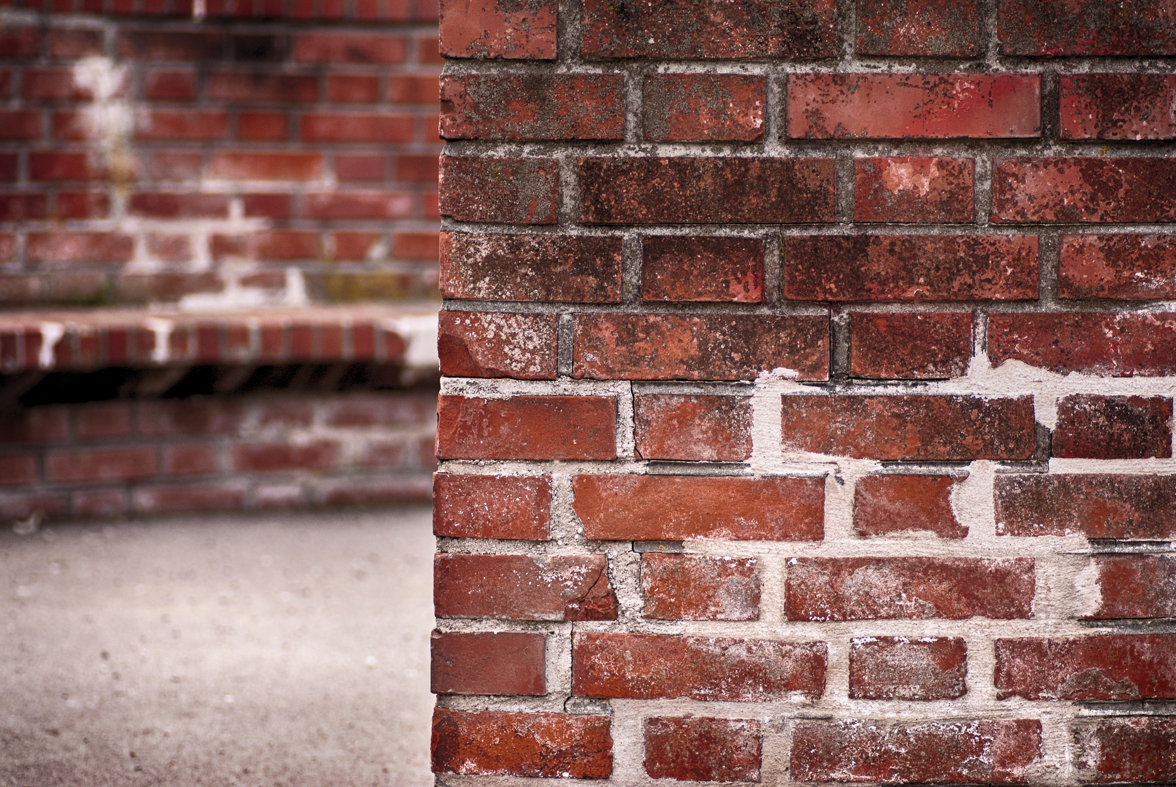close up photography of maroon brick wall