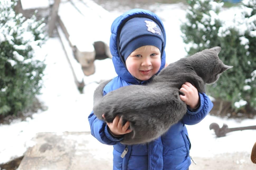 boy in blue puffer hooded jacket holding gray fur cat during daytime preview