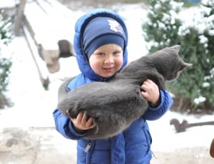boy in blue puffer hooded jacket holding gray fur cat during daytime thumbnail