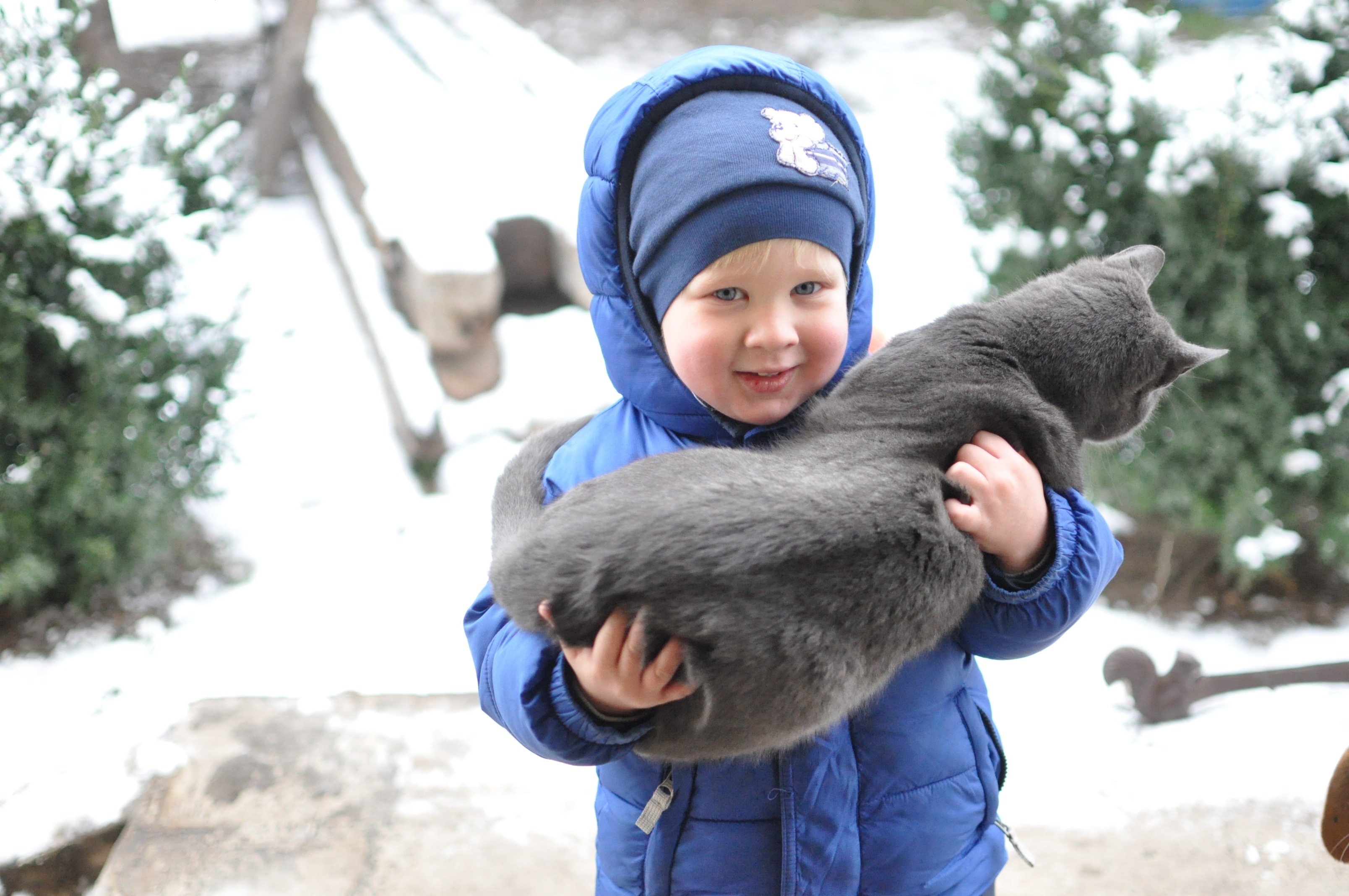 boy in blue puffer hooded jacket holding gray fur cat during daytime