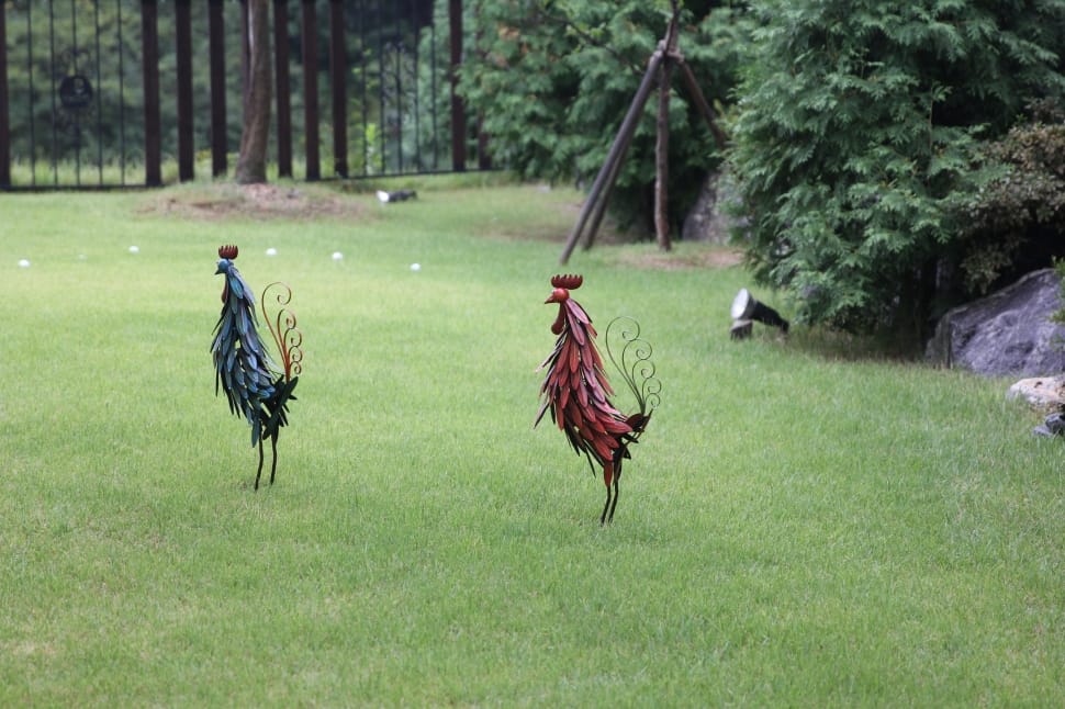 red and blue peahen decor preview