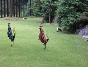 red and blue peahen decor thumbnail
