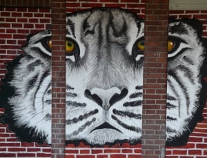 white and black tiger face illustration thumbnail