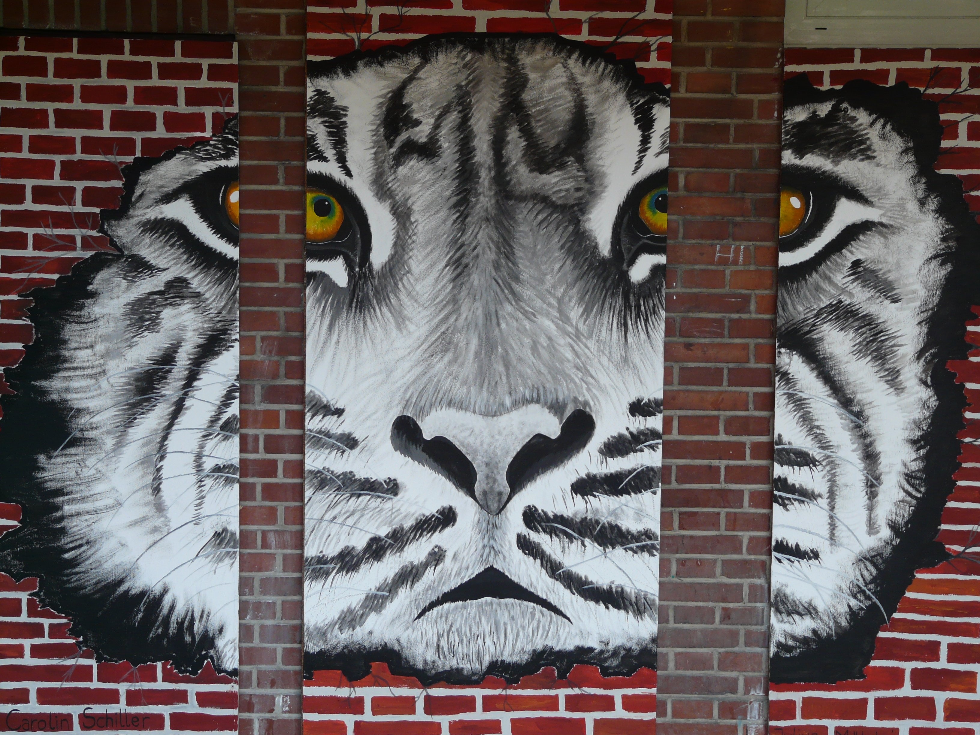 white and black tiger face illustration