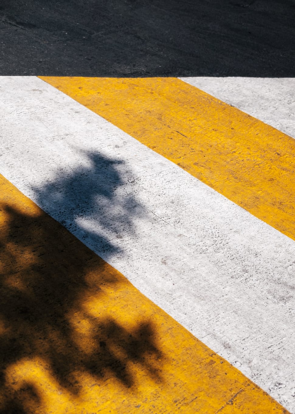 white and yellow paint road lane preview
