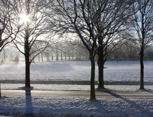 ground covered with snow during daytime photo thumbnail