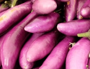 eggplants thumbnail