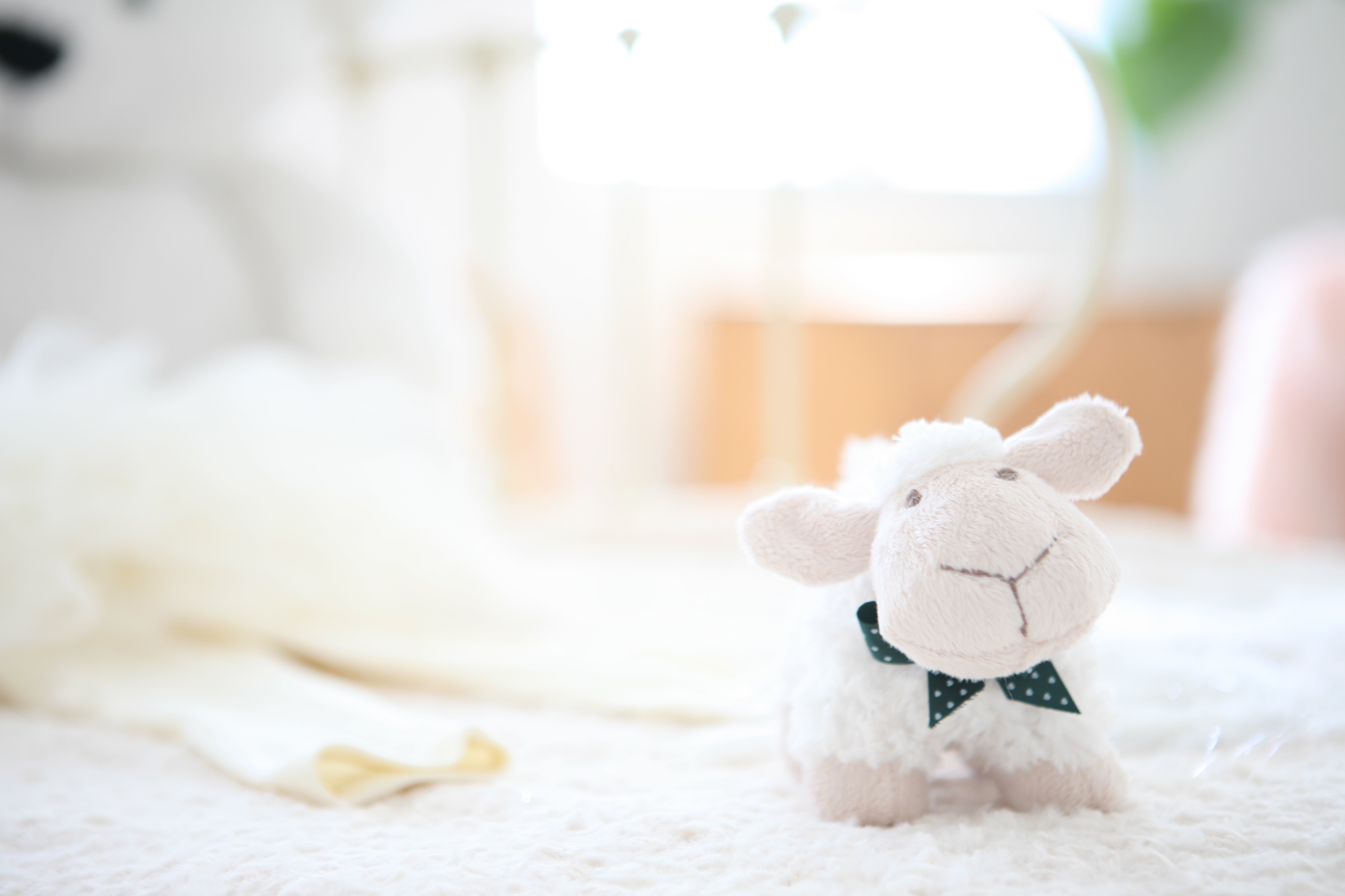white sheep plush toy