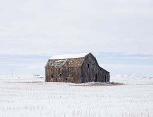 wooden house surrounded by snow field thumbnail