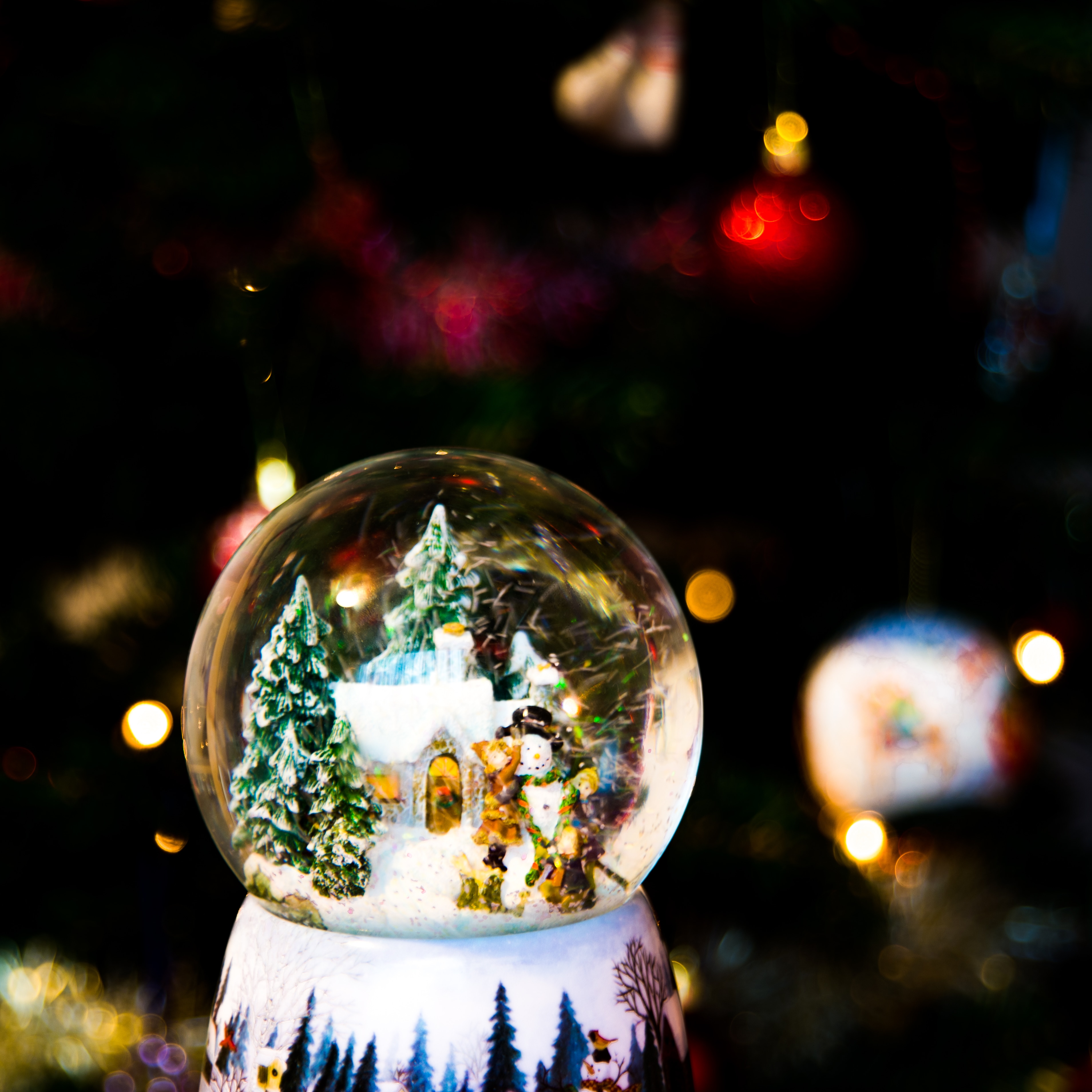 selective photography of snow globe