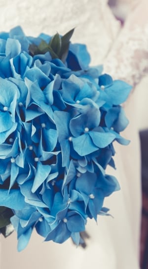 blue petaled flower bouquet thumbnail