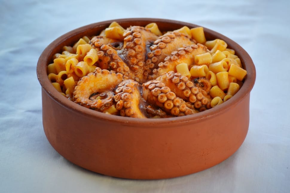 octopus with macaroni dish preview