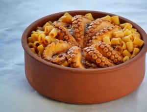 octopus with macaroni dish thumbnail