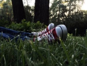 pair of red and white converse all star high top sneakers thumbnail