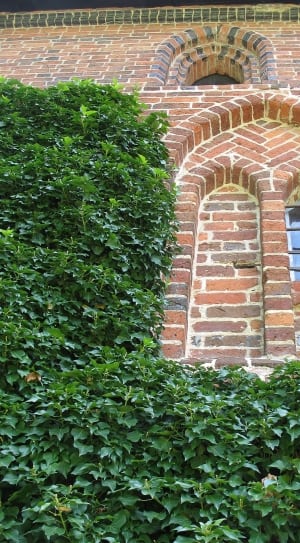 brown bricks wall with arch window thumbnail