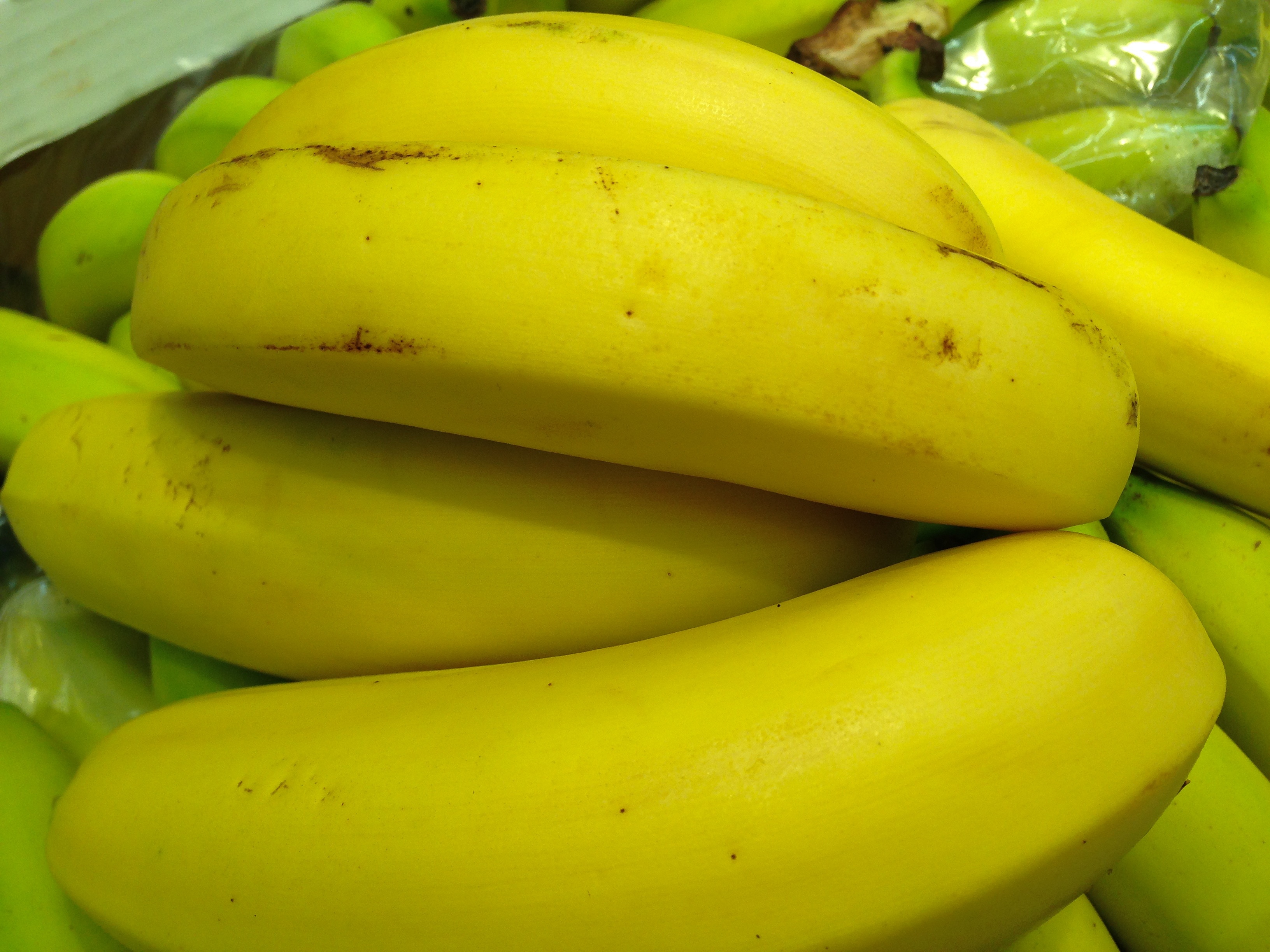 bunch of banana