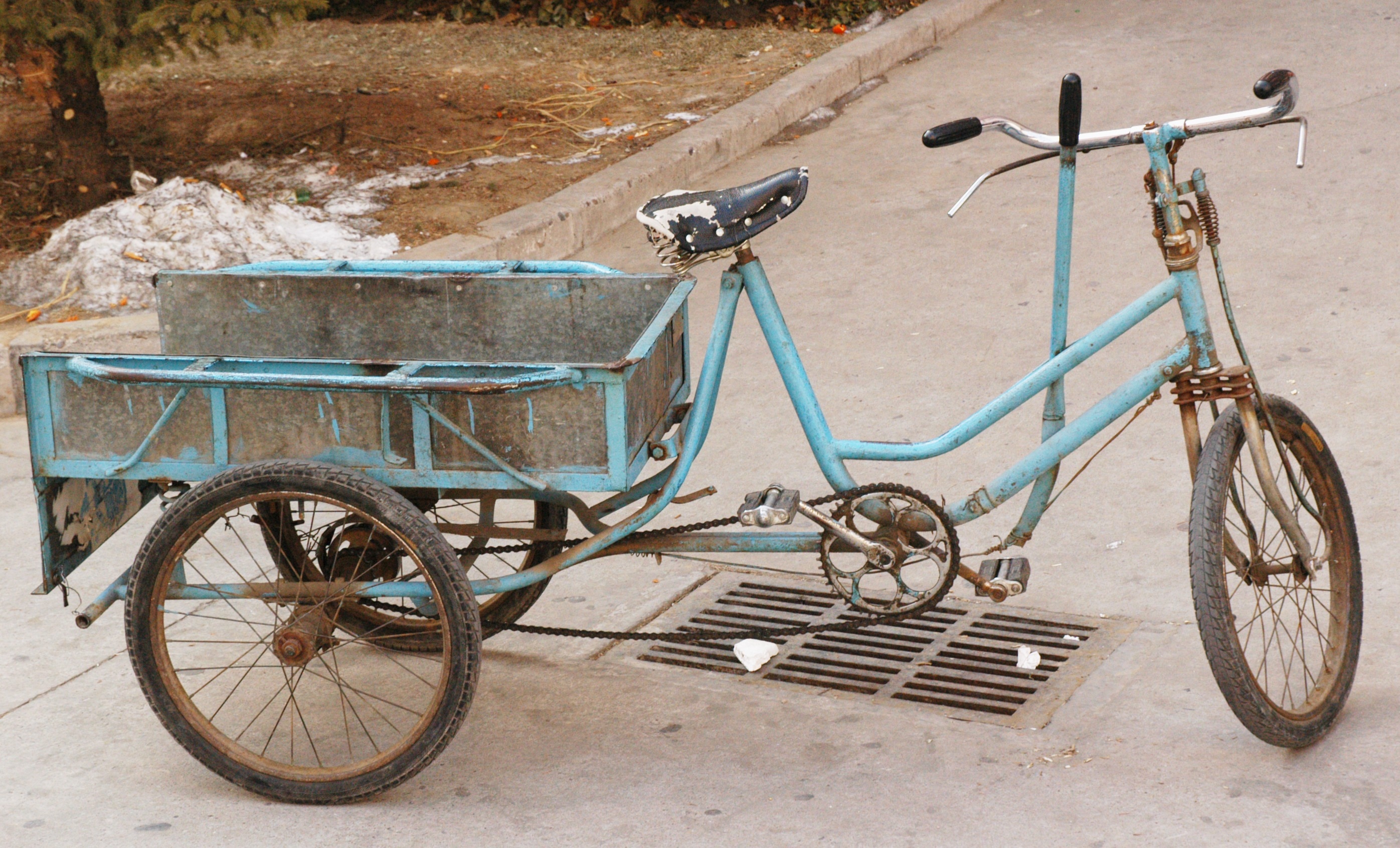 adult'sblue tricycle