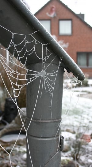 white spiderweb decor thumbnail