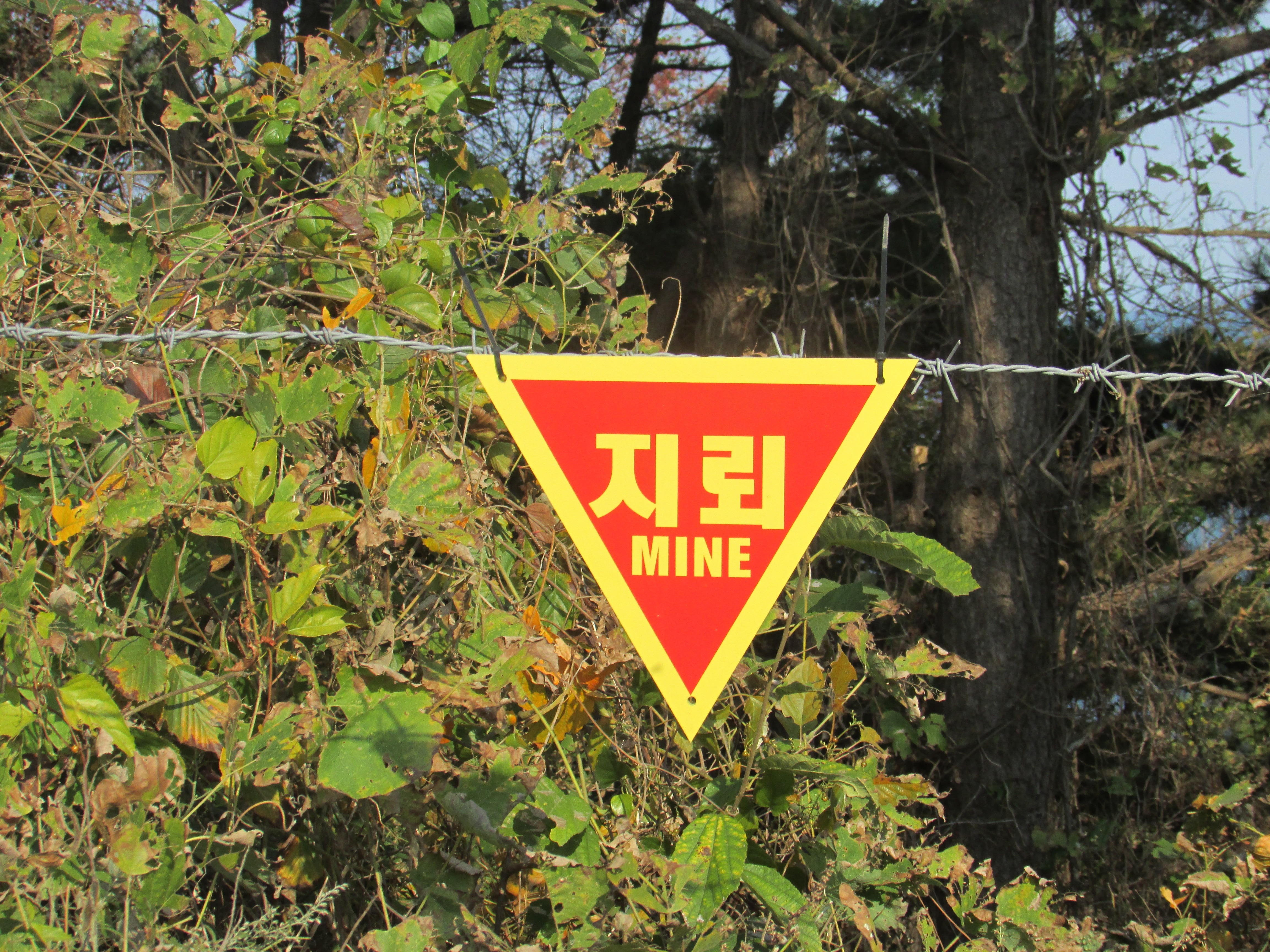 yellow and red mine signage