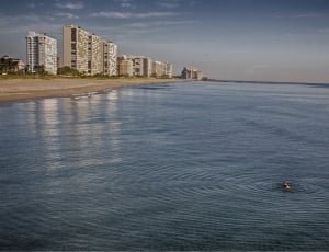 body of water beside high rise building thumbnail