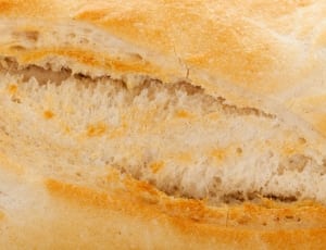 close-up photography of bread thumbnail