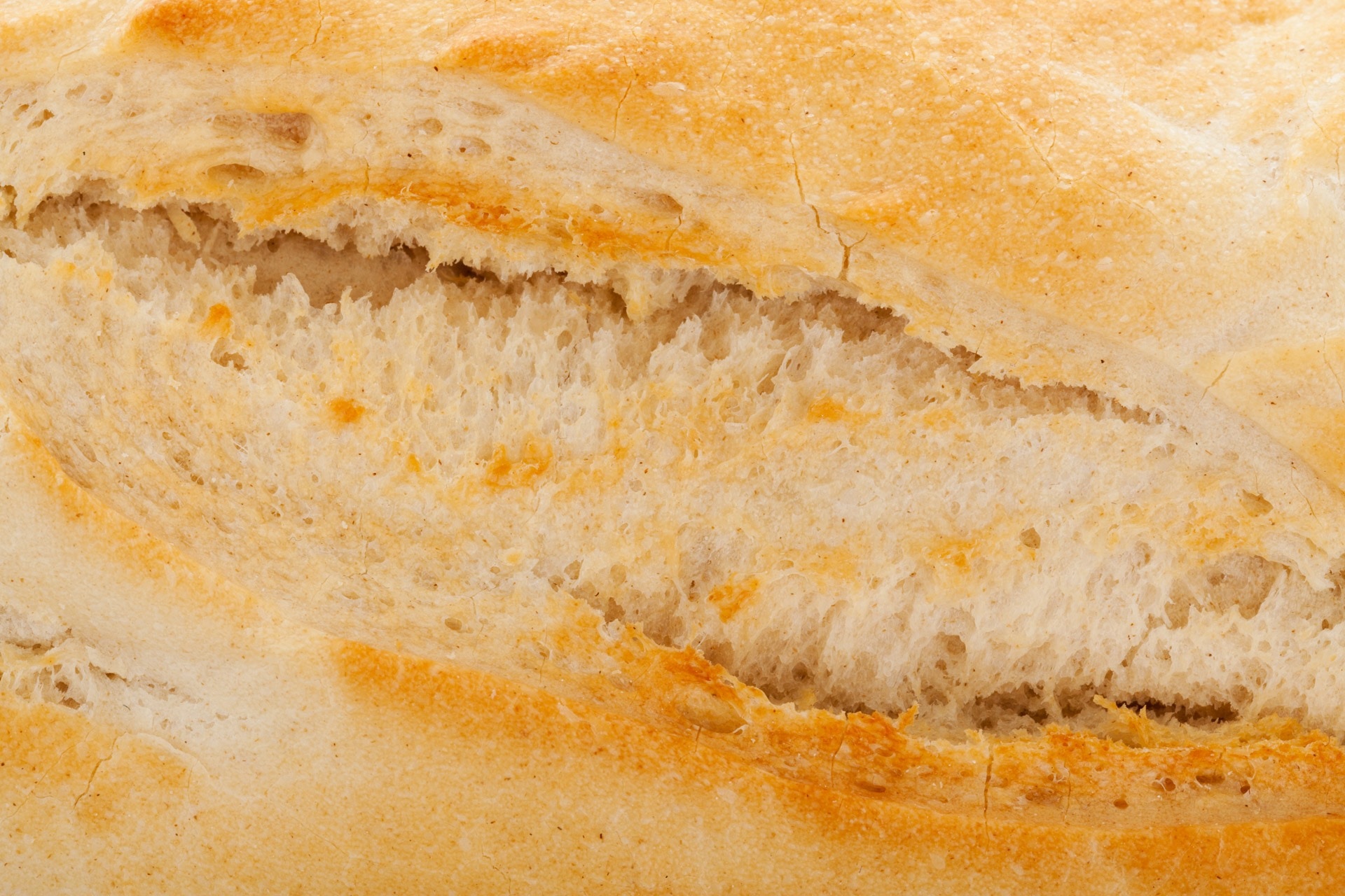 close-up photography of bread